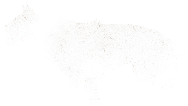 Qualitative Research (640x500), Png Download