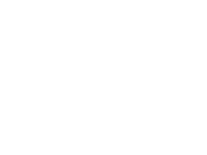 Marta Farmer Feather - Portable Network Graphics (903x694), Png Download