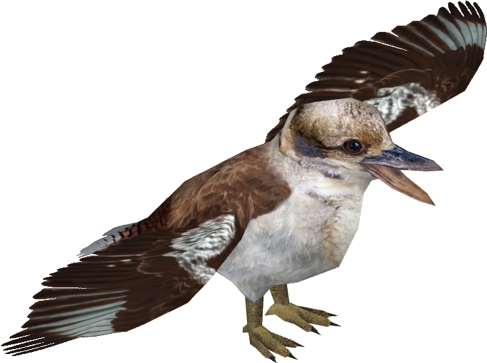 Laughing Kookaburra - Kookaburra Png (701x701), Png Download