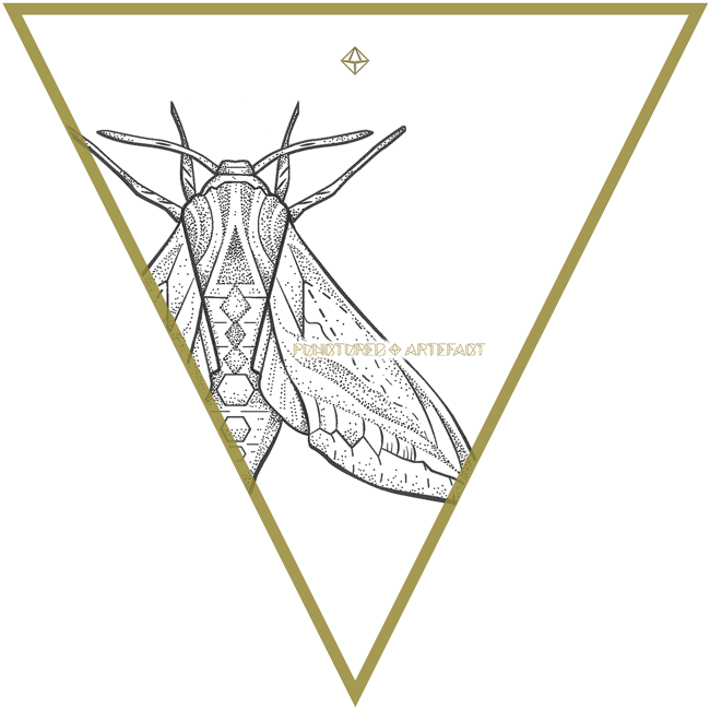 Shop - Net-winged Insects (650x650), Png Download