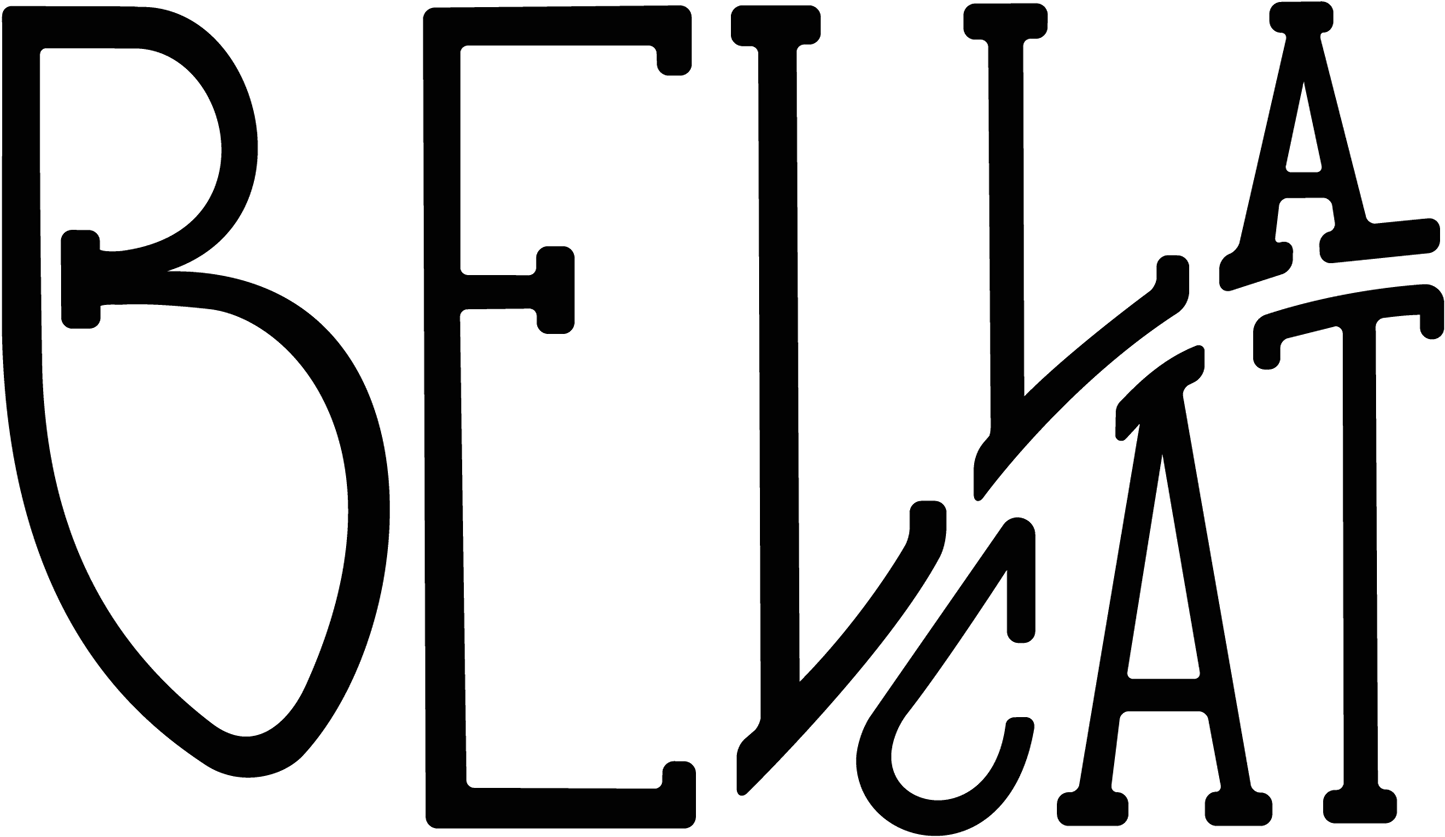 Bella Cat (1920x1920), Png Download