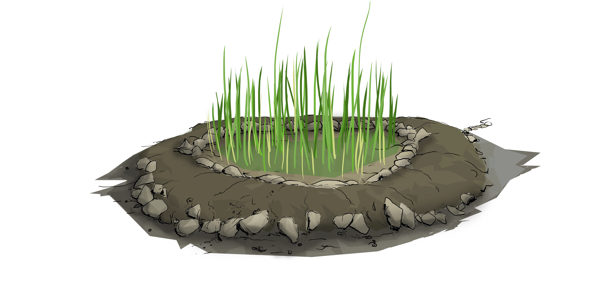 Make Use Of Nutrients, And Then Release The Cleaner - Sweet Grass (2000x959), Png Download