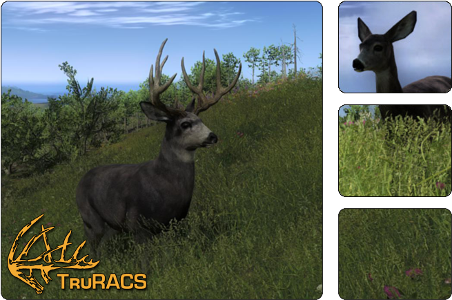 Description - Hunter Mule Deer (700x468), Png Download