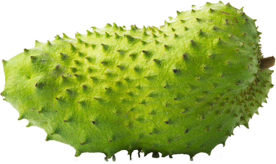 Soursop Png (1200x605), Png Download