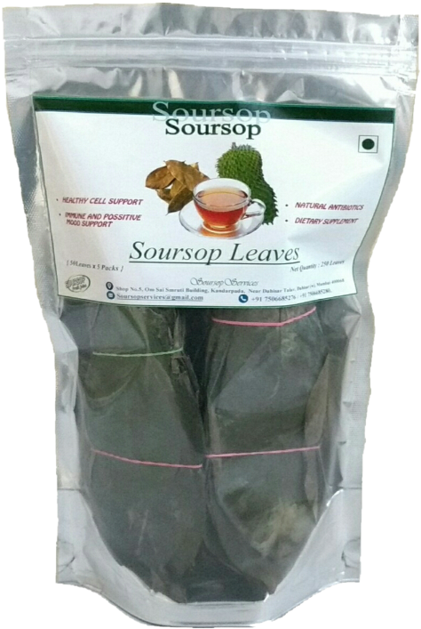 Download Soursop PNG Image with No Background - PNGkey.com