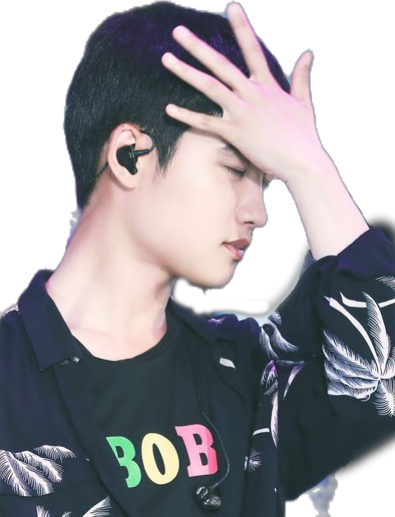 Report Abuse - Kyungsoo Lotte Concert 2018 (564x739), Png Download