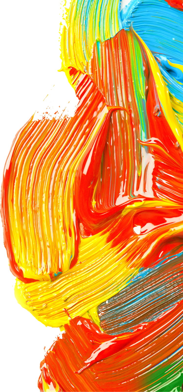 Publicat De Eu Ciresica La - 6pcs Set Nylon Paint Brushes Oil Watercolor Artist (748x1600), Png Download