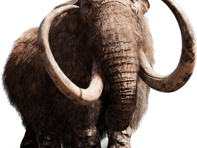 Far Cry Png Transparent Images - Far Cry Primal Mammoth (640x480), Png Download