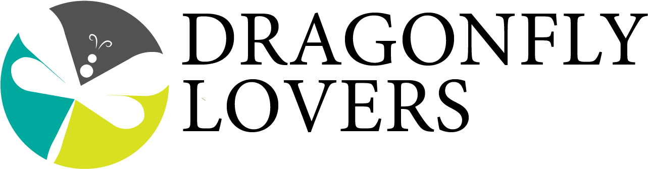 Dragonfly Lovers - Lingaya's University Faridabad Logo (1417x497), Png Download