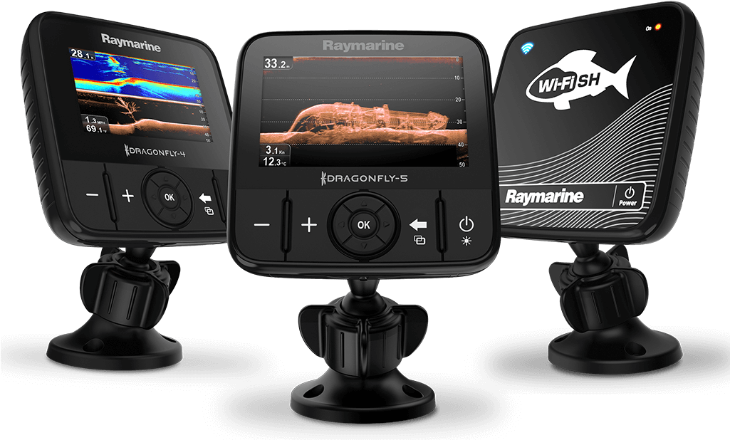 Download High-resolution Dragonfly Images (1024x659), Png Download