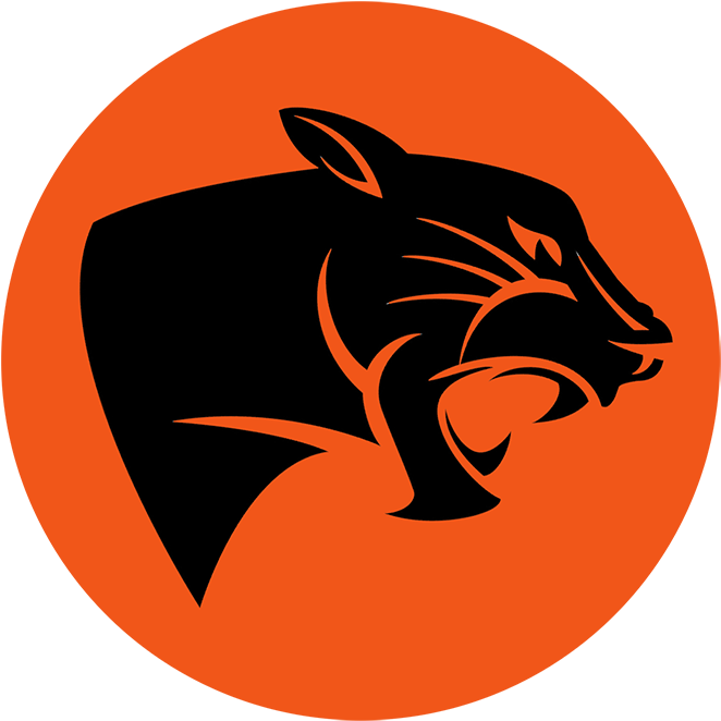 Basketball Cheerleader Clipart - Overbrook High School (700x700), Png Download