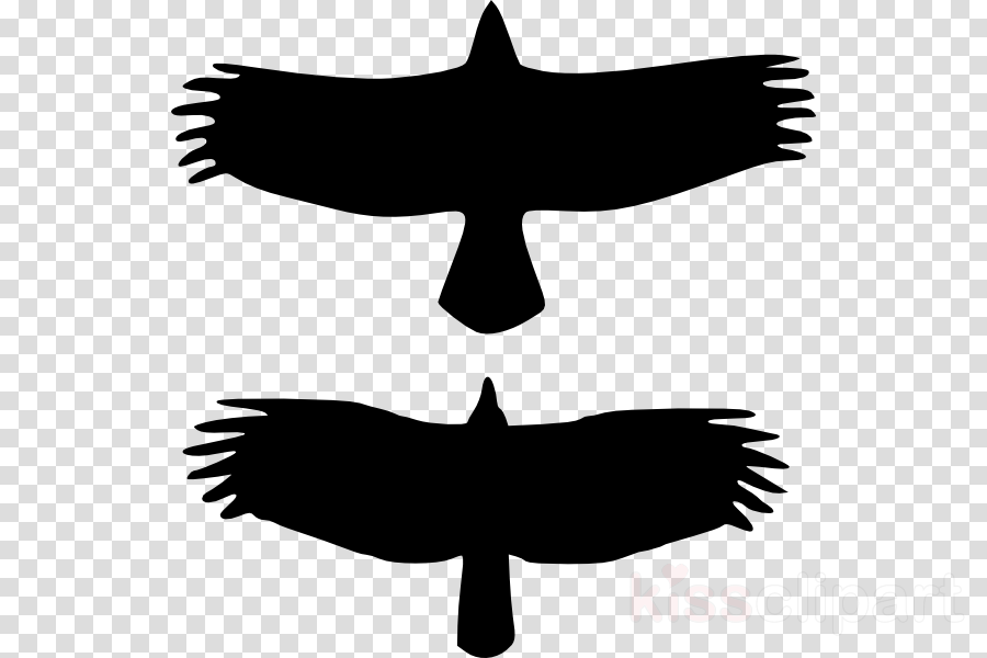 Bald Eagle Silhouette Clipart Bald Eagle Bird Turkey - Vintage Camera Transparent Background (900x600), Png Download
