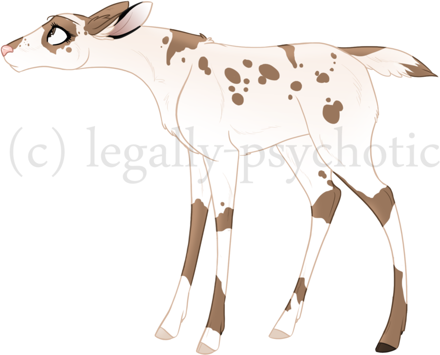 Bambi Oc - Piebald Deer Bambi Oc (1024x768), Png Download