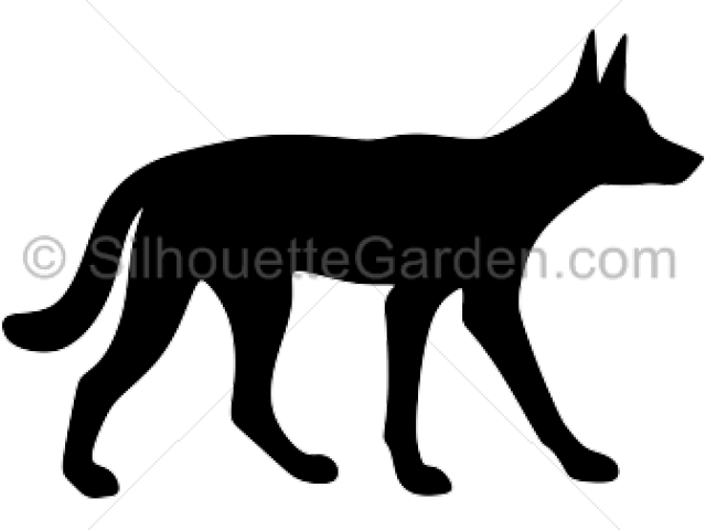 Dingo Silhouette Cliparts - Dingo Silhouette (640x480), Png Download