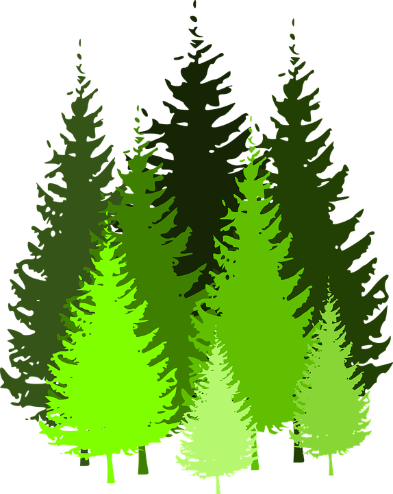 Download Cartoon Pine Trees 5, Buy Clip Art - Pine Tree Clip Art PNG Image with No Background Download Cartoon Pine Trees 5, Buy Clip Art - Pine Tree Clip Art PNG Image with No Background