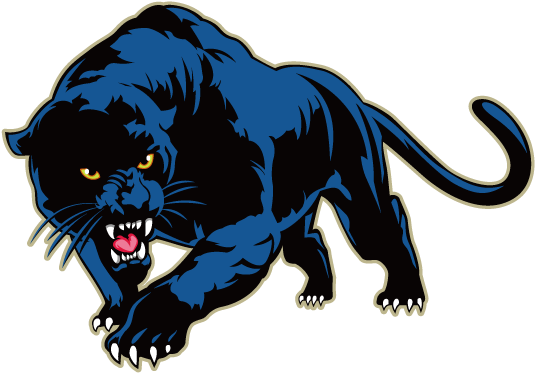 Black Panther Eyes Png Png Download - Black Panther Sticker (567x567), Png Download