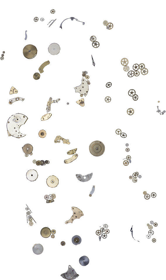 Hospital Facade - Insect (600x955), Png Download