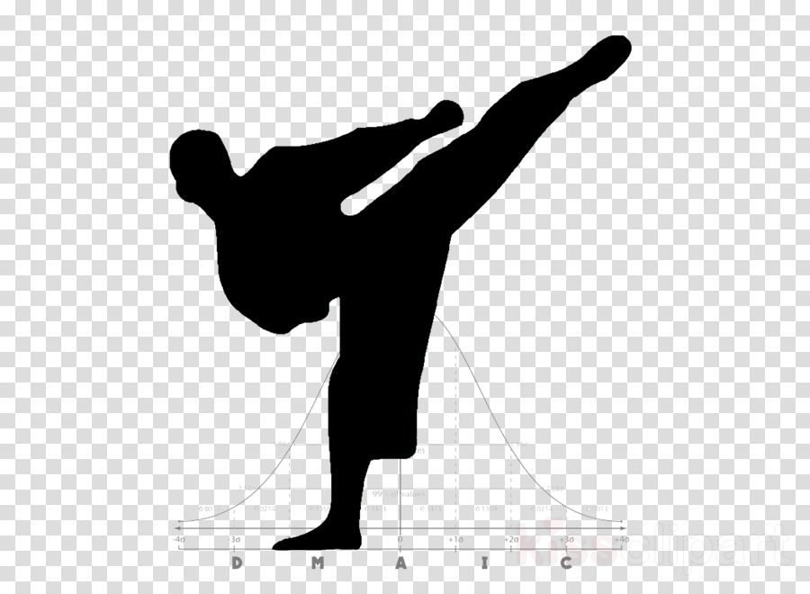 Martial Arts Silhouette Png Clipart Karate Martial - Black And White Icons Plane (900x660), Png Download