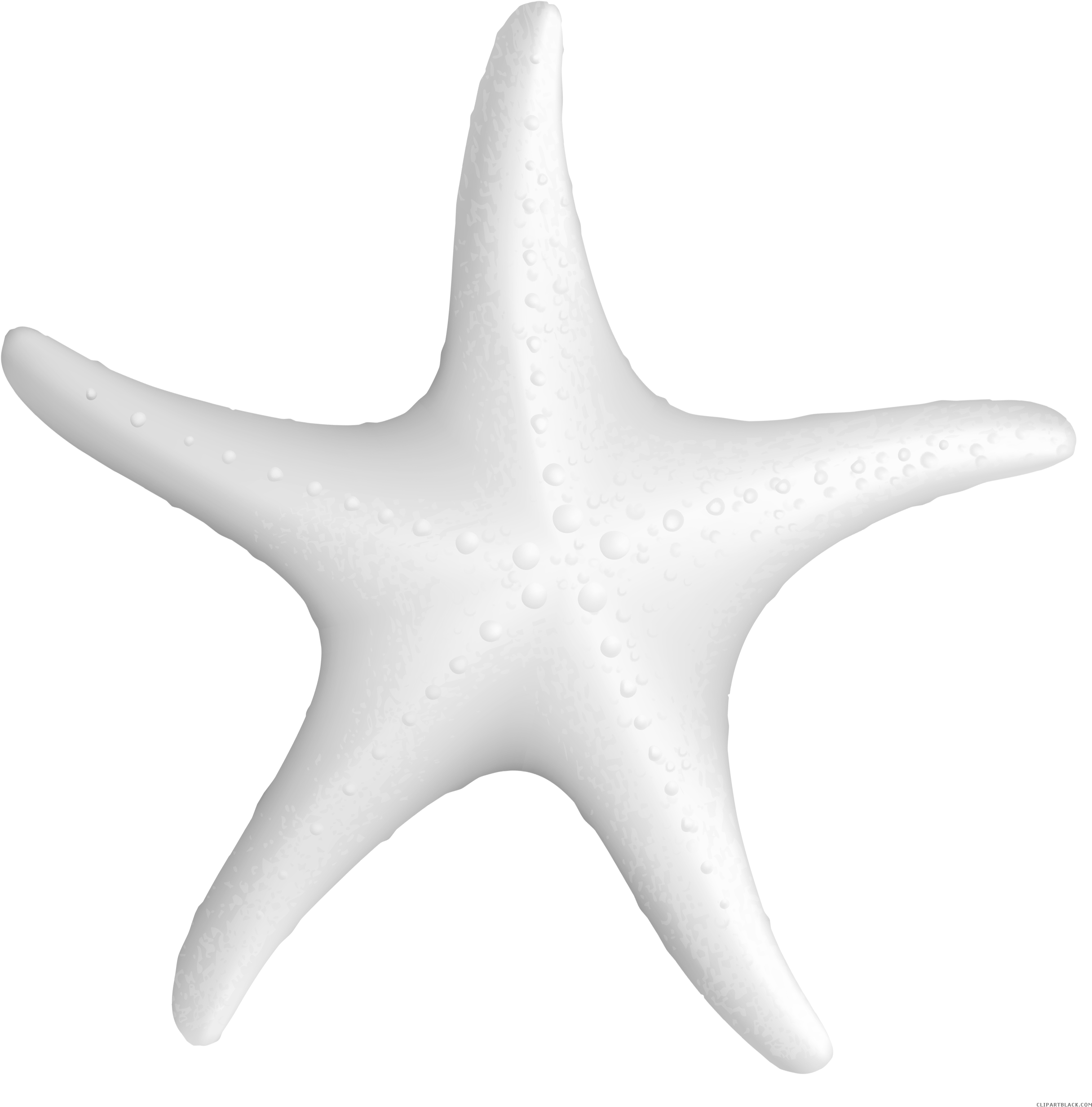 Clip Art Library Star Fish Techflourish Collections (2488x2558), Png Download
