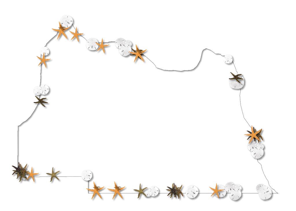 Seminole Fancy Frame Style Maps In 30 Styles - Illustration (1024x728), Png Download