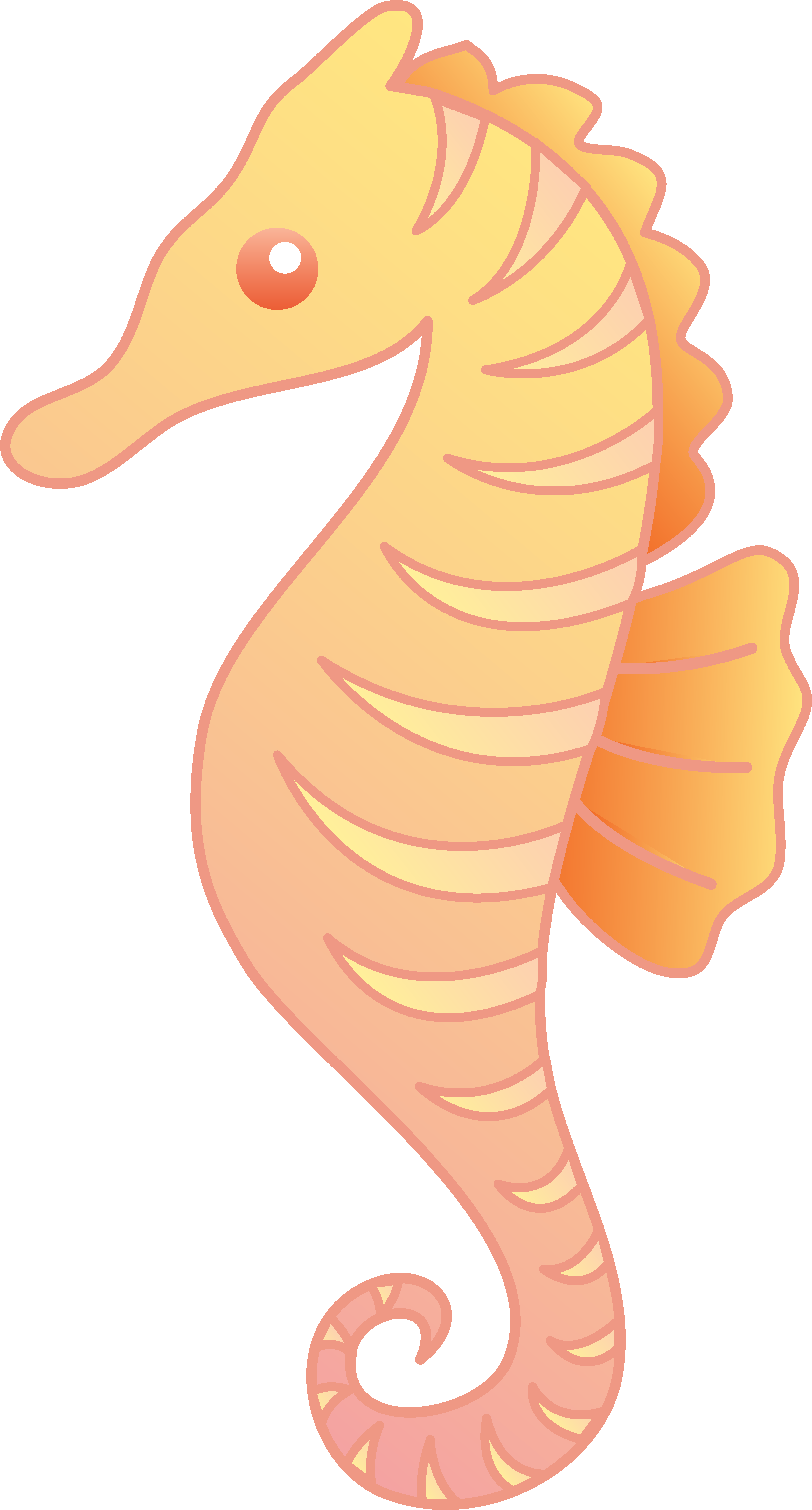 Seahorse Clipart Cute Pink (4177x7763), Png Download