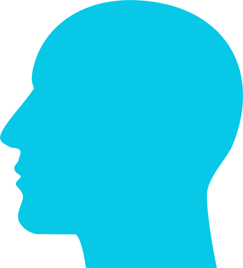 Silhouette - Information (800x882), Png Download
