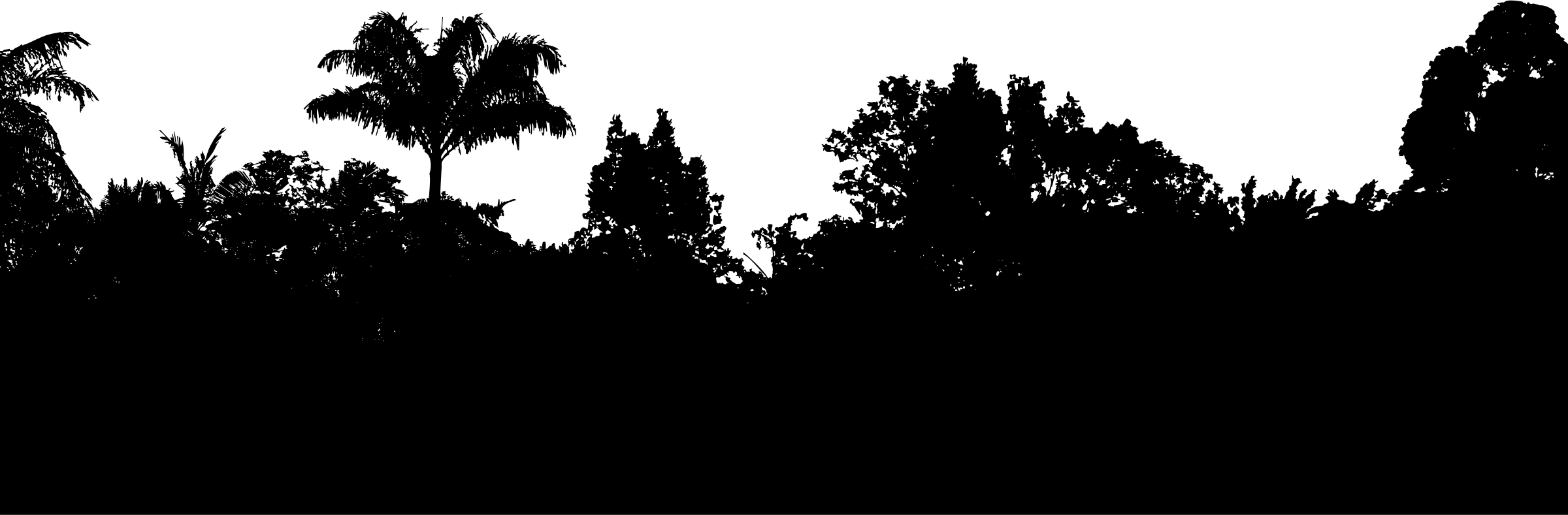 Big Image - Wallpaper (2400x789), Png Download