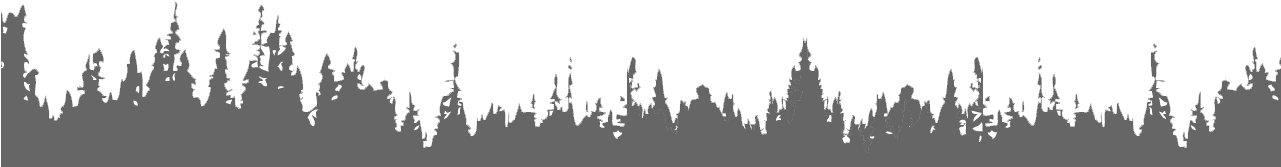 Shortleaf Black Spruce (1280x720), Png Download