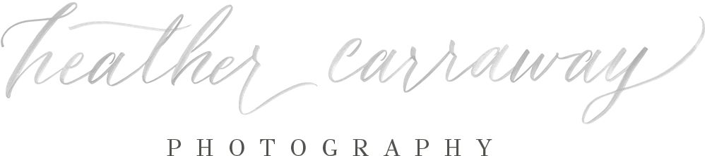 Atlanta Newborn Photographer (1000x507), Png Download