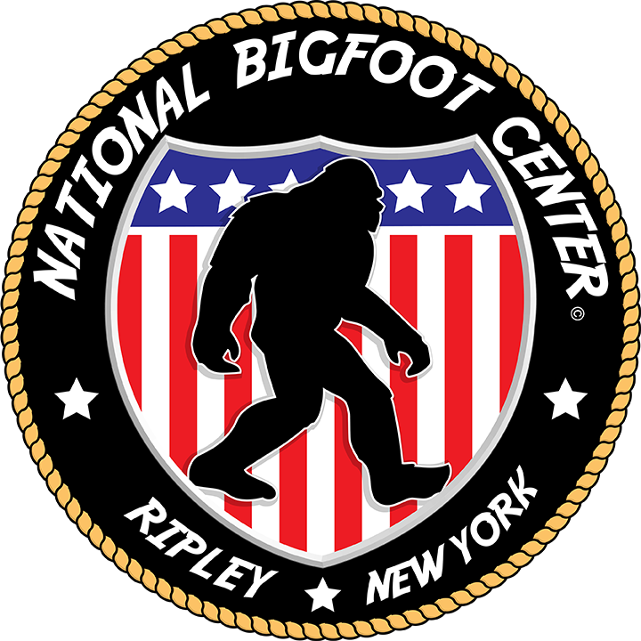 Seattle Floor Service (720x720), Png Download