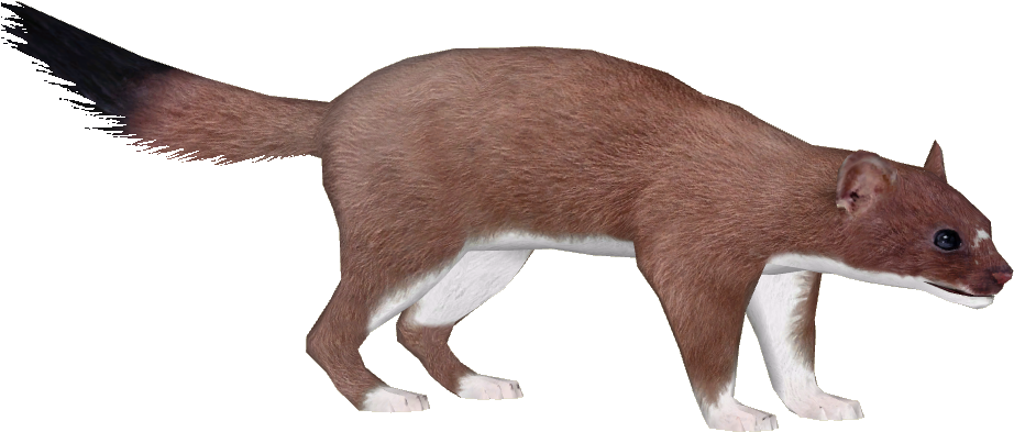 Bigfoot Transparent Zt2 Clip Art Transparent - Zoo Tycoon 2 (921x921), Png Download