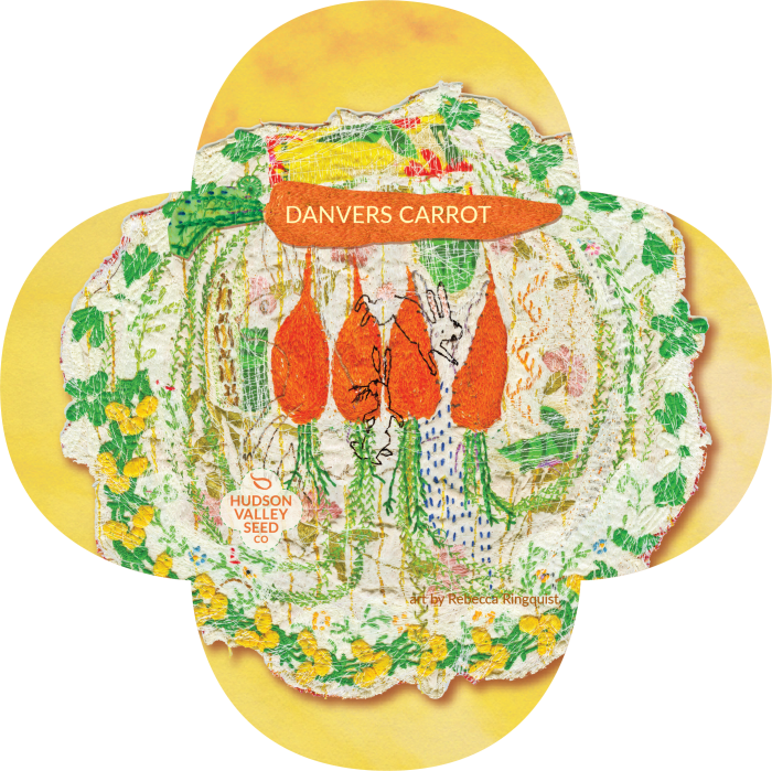 V=1523896614 - Danvers Carrot Seeds (700x699), Png Download