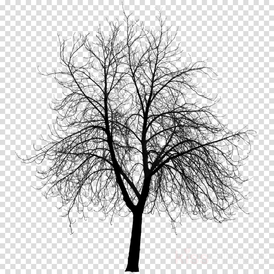 Download Creepy Tree Silhouette Png Png Image With No Background Pngkey Com