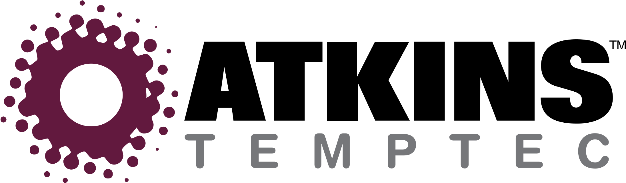 Atkins Temptec Logo Png Transparent - Cooper Atkins (2400x2400), Png Download