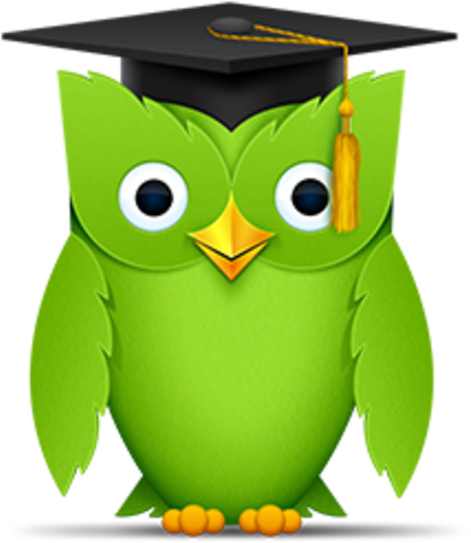 Duolingo Italian (2160x2160), Png Download