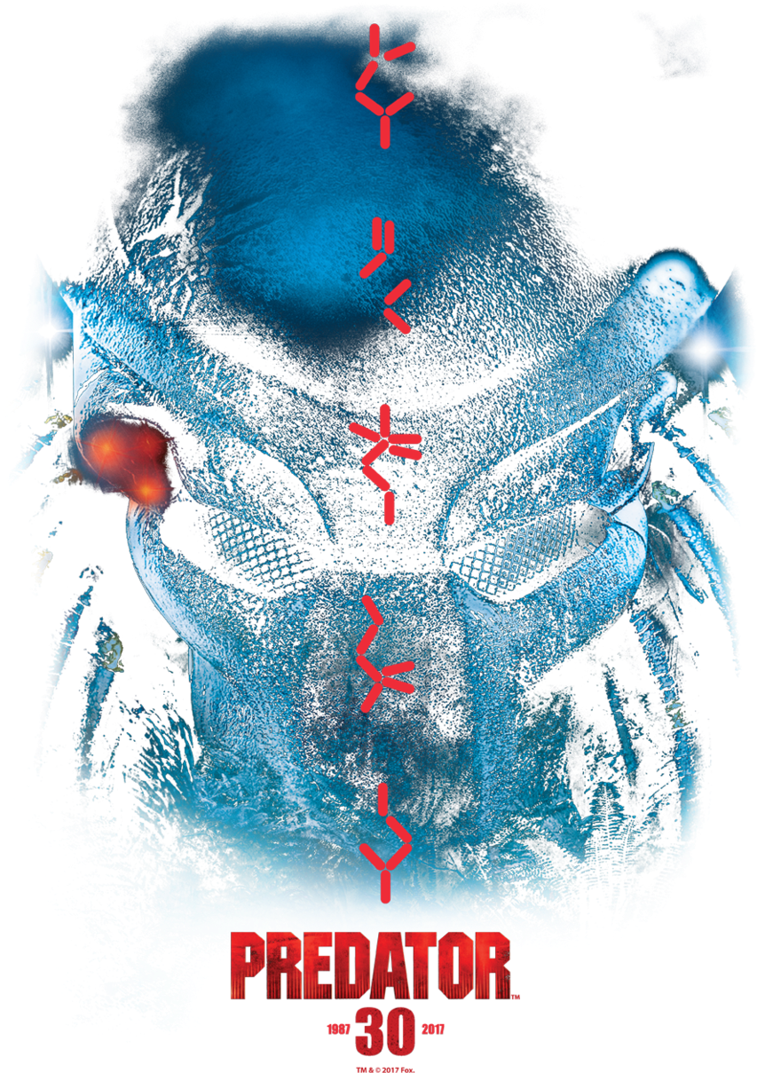 Predator 30th Anniversary Juniors T-shirt (900x1246), Png Download