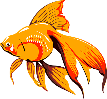 Marine Fish, Goldfish, Sea Fish, Glittering Png Image - Golden Fish Clipart (367x340), Png Download
