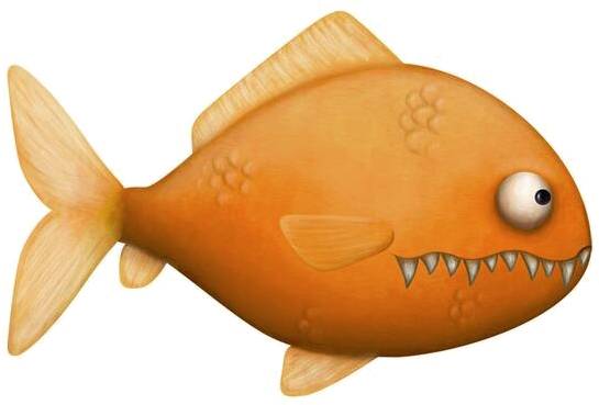 Goldfish Png Background Image - Goldfish Png (599x370), Png Download