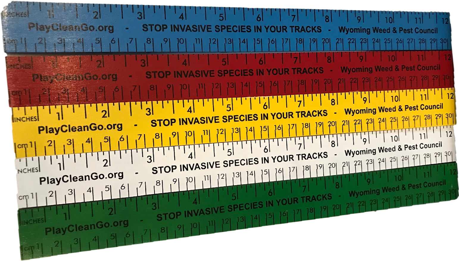 $22 - - Ruler (1600x1024), Png Download