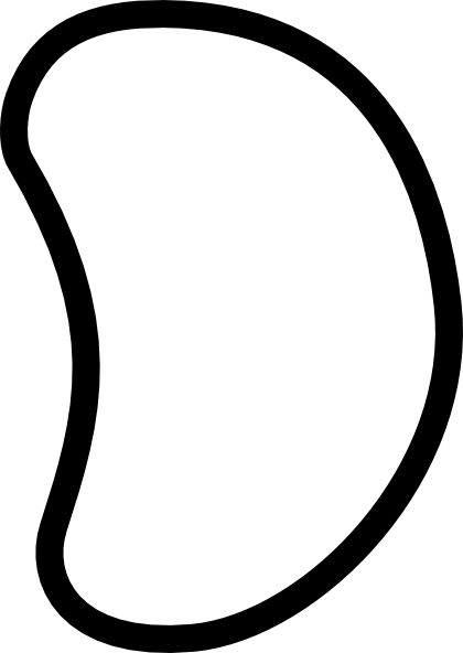 Bean Clip Art - Lima Bean Clip Art (420x592), Png Download