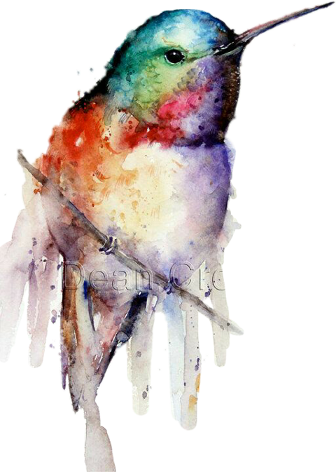 Pintura De En Oleo Colibri (480x673), Png Download