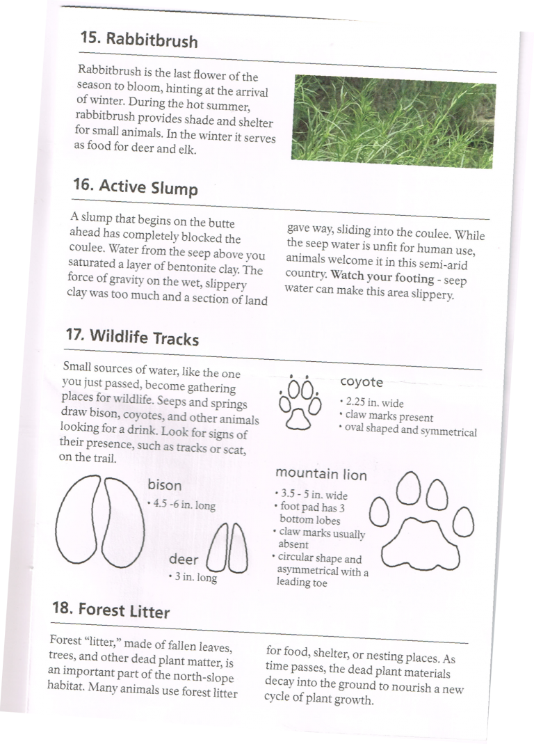 Picture1-768x1069 - Audi (768x1069), Png Download