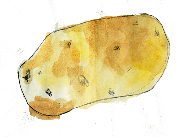 8 - 28 - 12 - Just Made A Buttload Of Mashed Potatoes - Rock (600x448), Png Download