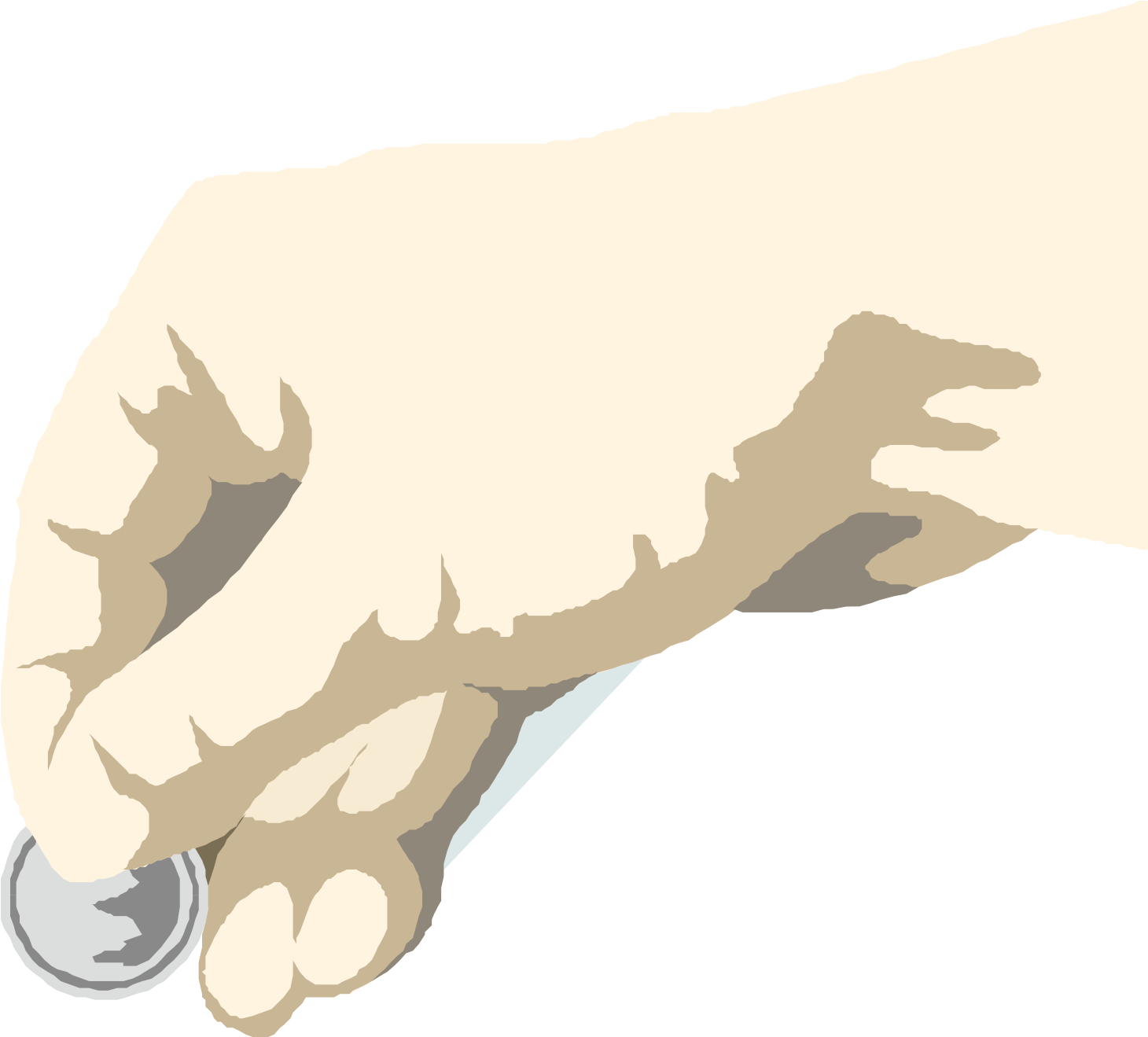 Brush Illustrator Illustration - Vector Graphics (1655x1600), Png Download