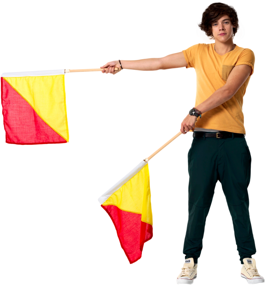 Harry Styles Png 10 By Tectos-d5t9eu6 - Flag (1024x1085), Png Download