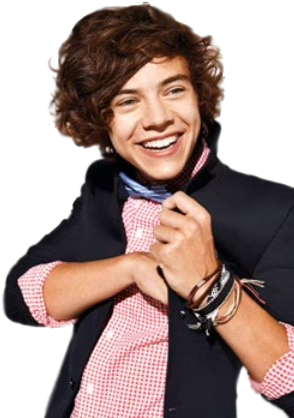 Harry Styles - 1d Poster Harry Styles (294x418), Png Download