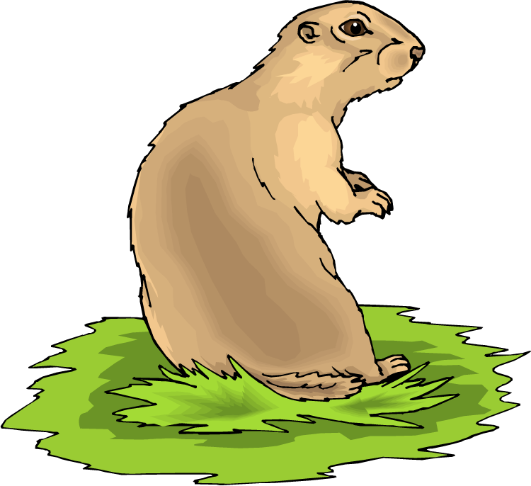 Best Prairie Dog Clip Art - Prairie Dog Clipart (750x686), Png Download
