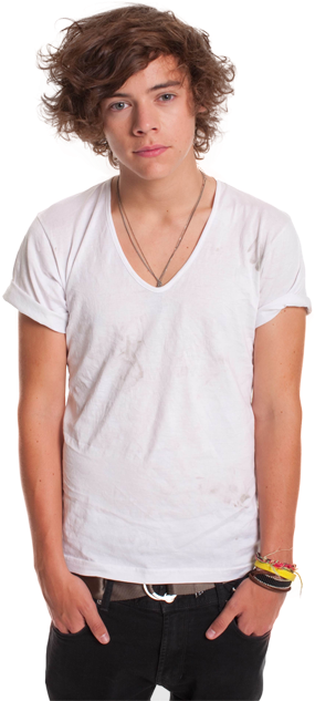 Niall Horan - Harry Styles: Photo-biography (329x663), Png Download