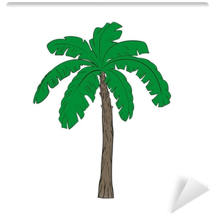 Bananenboom Tekening (400x400), Png Download