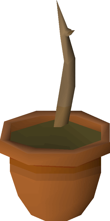 Banana Saplings Are Obtained By Planting A Banana Tree - Old School Runescape (444x890), Png Download